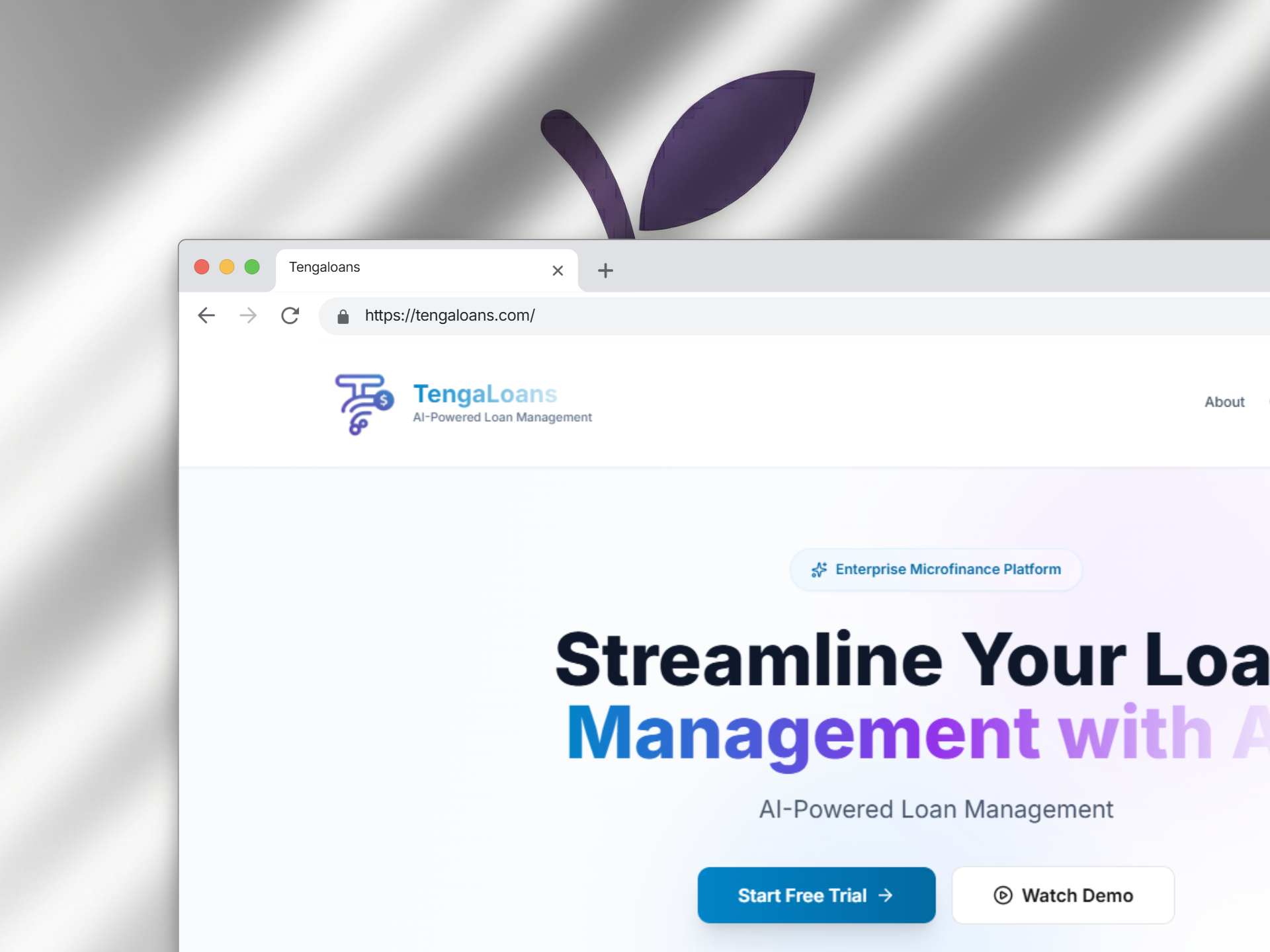 Web Development Example 1